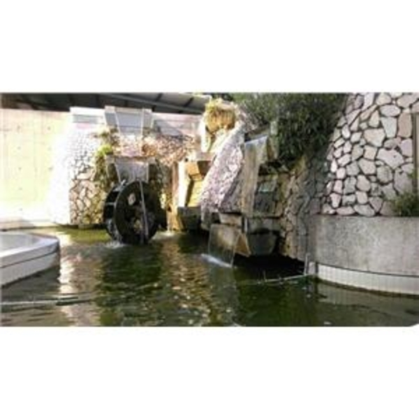 全自動濾水器／水池濾水器