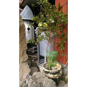 全自動濾水器／水池濾水器