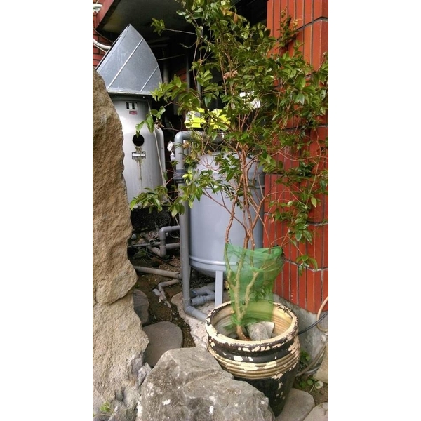 全自動濾水器／水池濾水器