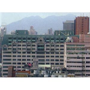 新東陽世紀羅浮綠青銅瓦工程