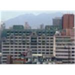 新東陽世紀羅浮綠青銅瓦工程 - 北銅企業有限公司