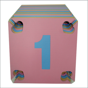 數字墊 , 彩雲飛企業有限公司