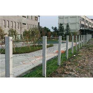 刺網 , 谷山股份有限公司