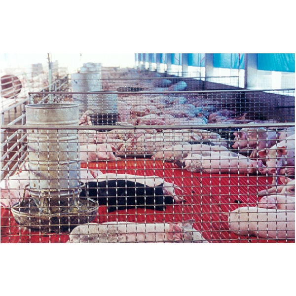 浪網+金屬膨脹網,谷山股份有限公司