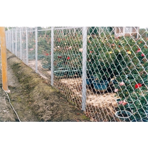 菱形網-花圃圍籬