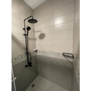 SL-1009MB  P-823MB 霧黑花灑跟霧黑三角架