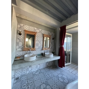 民宿雙盆古典系列