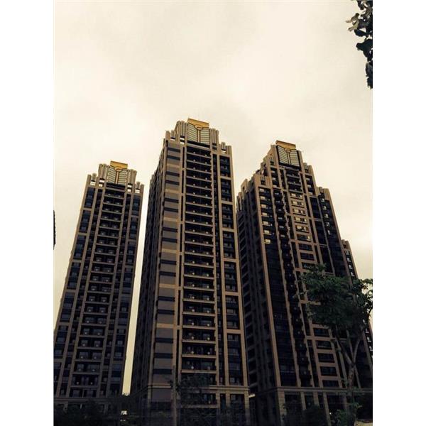 遠雄-海德公園 & 遠雄-巴黎公園 遠雄-海德公園 & 遠雄-巴黎公園,中鈦鋁業股份有限公司