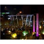 jg06 - 中野國際有限公司