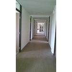 6302 - 永安礦物科技實業有限公司