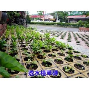 透水植草磚 , 齊祥工程股份有限公司