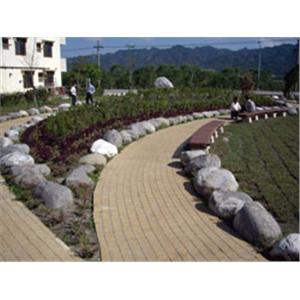 結構性導水舖面(10x10方塊磚+蛋黃砂色)