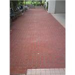 結構性導水舖面(10x10方塊磚+紅磚色) - 齊祥工程股份有限公司