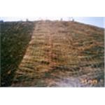 稻草蓆覆蓋 - 盛雨企業行