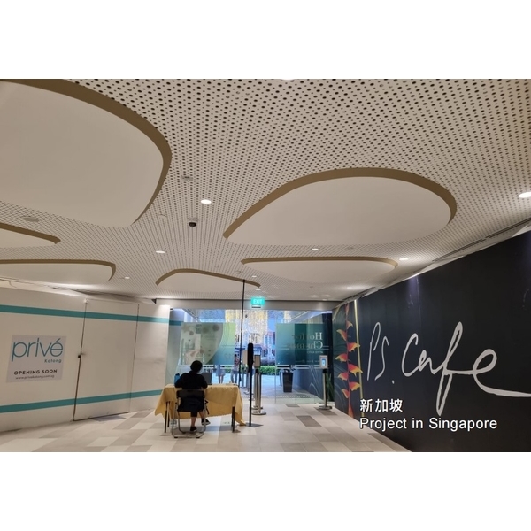 木紋沖孔矽酸鈣板-新加坡-長仕實業有限公司