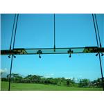 花蓮美侖 - 肯望科技股份有限公司