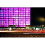 美麗華 - 肯望科技股份有限公司