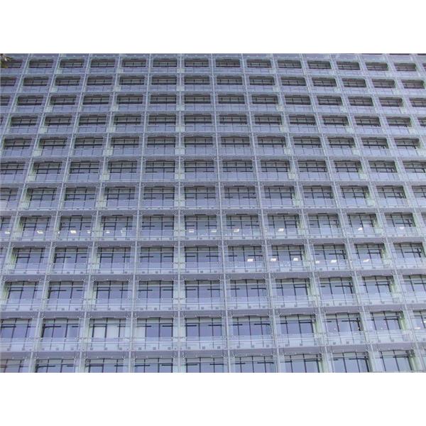 美麗華,肯望科技股份有限公司