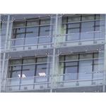 美麗華 - 肯望科技股份有限公司