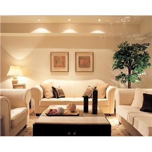 客廳賞析NO5 , 經典建築室內裝修設計工程有限公司