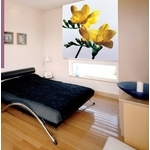 	窗簾組件 - 婕侑有限公司