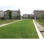 場鑄植草地坪施工 - 中華昇揚有限公司