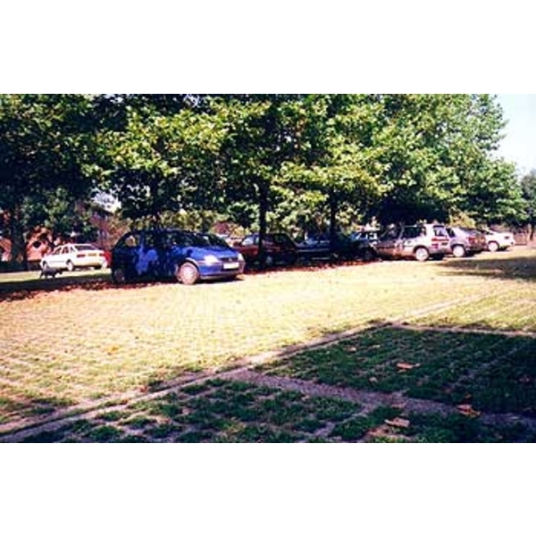 場鑄植草地坪施工,中華昇揚有限公司