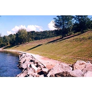 場鑄植草地坪施工