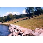 場鑄植草地坪施工 - 中華昇揚有限公司