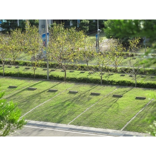 場鑄植草地坪施工,中華昇揚有限公司