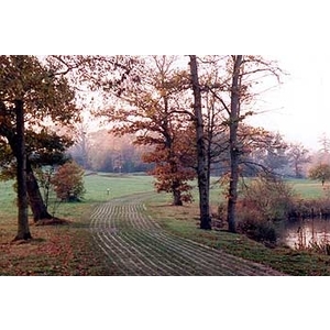 場鑄植草地坪施工