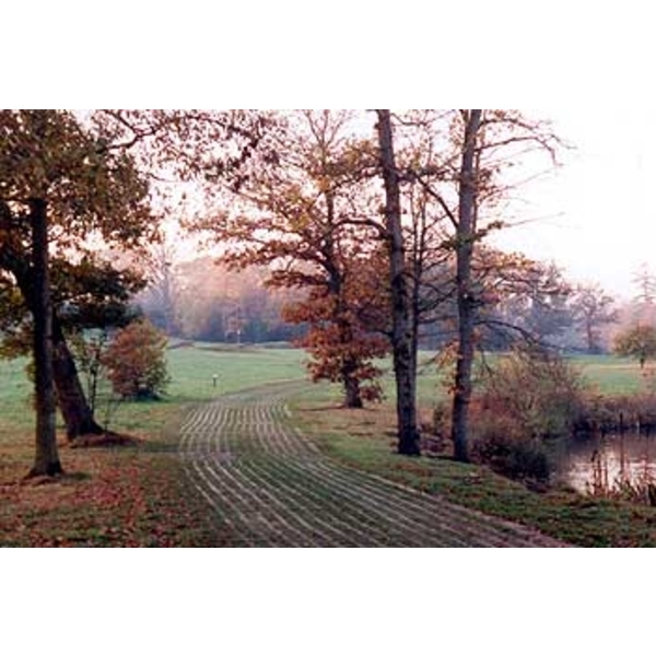 場鑄植草地坪施工,中華昇揚有限公司