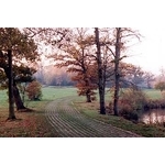 場鑄植草地坪施工 - 中華昇揚有限公司