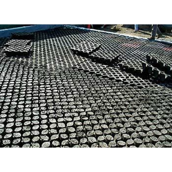 場鑄植草地坪施工-中華昇揚有限公司