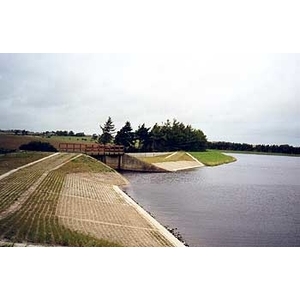 場鑄植草地坪施工