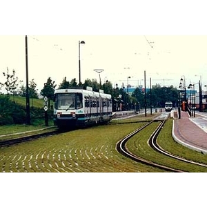 場鑄植草地坪施工