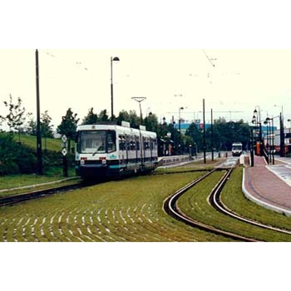 場鑄植草地坪施工,中華昇揚有限公司