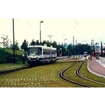 場鑄植草地坪施工 - 中華昇揚有限公司