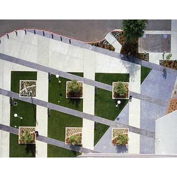 場鑄植草地坪施工-中華昇揚有限公司