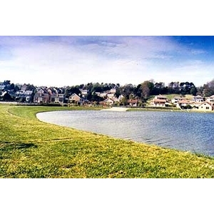 場鑄植草地坪施工