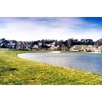 場鑄植草地坪施工 - 中華昇揚有限公司