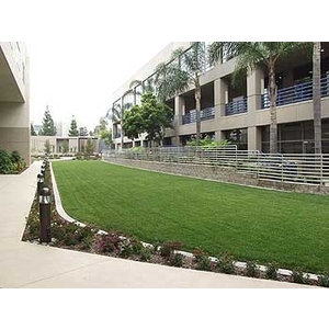 場鑄植草地坪施工