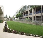 場鑄植草地坪施工 - 中華昇揚有限公司