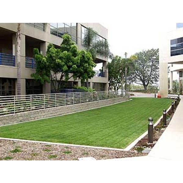 場鑄植草地坪施工-中華昇揚有限公司