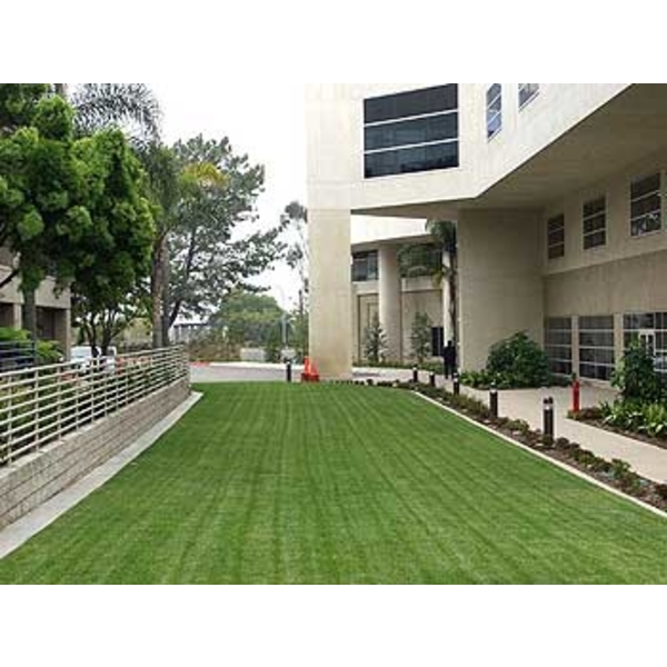 場鑄植草地坪施工-中華昇揚有限公司