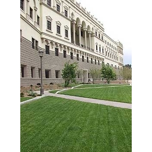 場鑄植草地坪施工