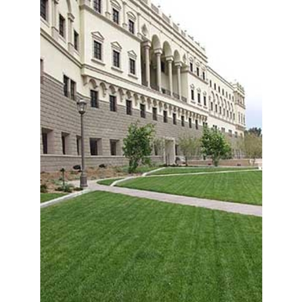 場鑄植草地坪施工,中華昇揚有限公司