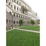 場鑄植草地坪施工 - 中華昇揚有限公司