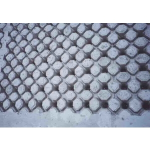 場鑄植草地坪施工