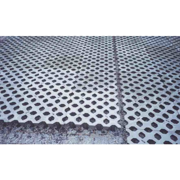 場鑄植草地坪施工-中華昇揚有限公司